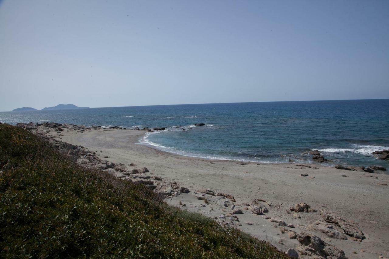 Alexandros Villa Agia Paraskevi  Exteriör bild