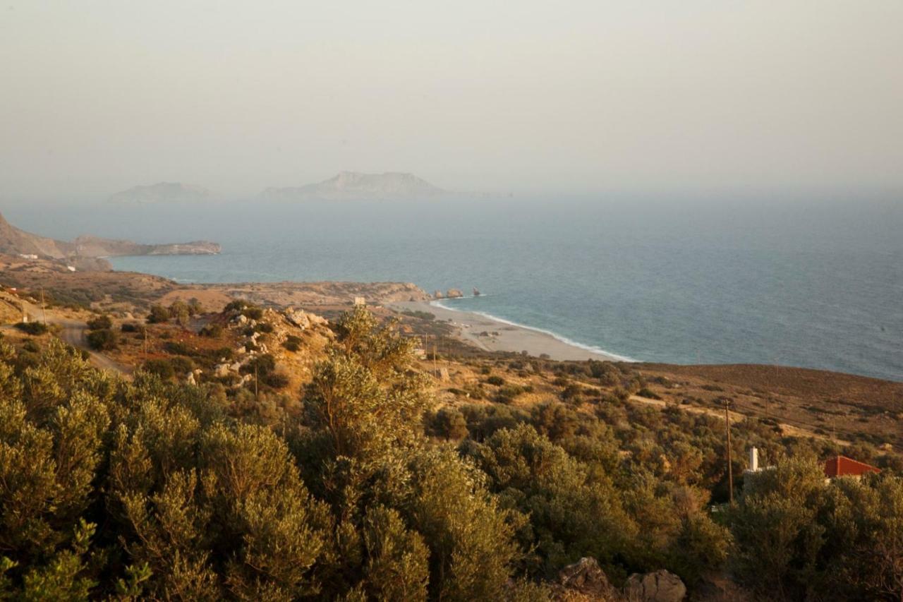 Alexandros Villa Agia Paraskevi  Exteriör bild